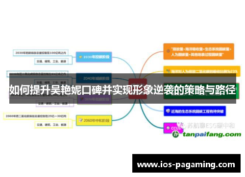 如何提升吴艳妮口碑并实现形象逆袭的策略与路径