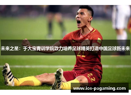 未来之星:于大宝青训学院致力培养足球精英打造中国足球新未来 未来之星:于大宝青训学院致力培养足球精英打造中国足球新未来