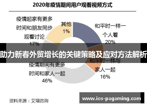 助力新春外贸增长的关键策略及应对方法解析