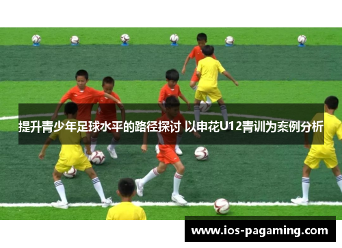 提升青少年足球水平的路径探讨 以申花U12青训为案例分析 提升青少年足球水平的路径探讨 以申花U12青训为案例分析