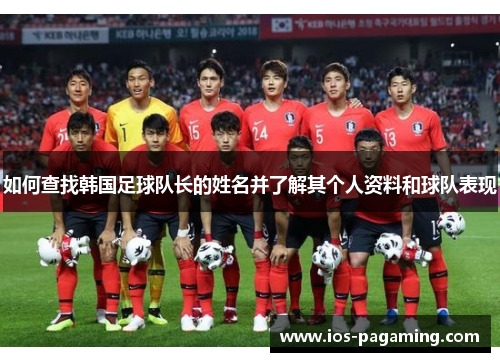 如何查找韩国足球队长的姓名并了解其个人资料和球队表现