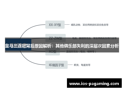 皇马三连冠背后原因解析：其他俱乐部失利的深层次因素分析