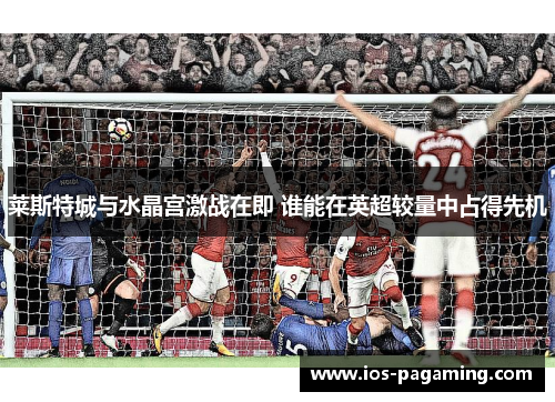 莱斯特城与水晶宫激战在即 谁能在英超较量中占得先机 莱斯特城与水晶宫激战在即 谁能在英超较量中占得先机