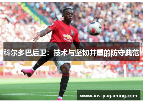 科尔多巴后卫：技术与坚韧并重的防守典范