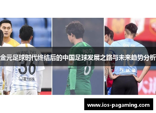 金元足球时代终结后的中国足球发展之路与未来趋势分析 金元足球时代终结后的中国足球发展之路与未来趋势分析