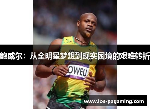 鲍威尔:从全明星梦想到现实困境的艰难转折