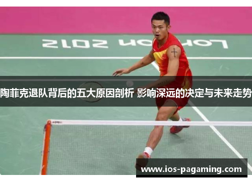 陶菲克退队背后的五大原因剖析 影响深远的决定与未来走势 陶菲克退队背后的五大原因剖析 影响深远的决定与未来走势