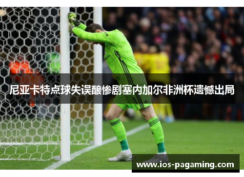 尼亚卡特点球失误酿惨剧塞内加尔非洲杯遗憾出局 尼亚卡特点球失误酿惨剧塞内加尔非洲杯遗憾出局